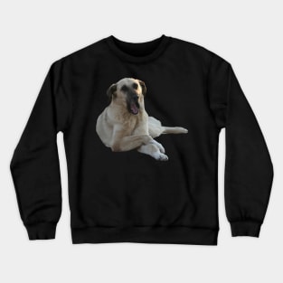 Kangal Dog Yawning Vector Cut Out Crewneck Sweatshirt